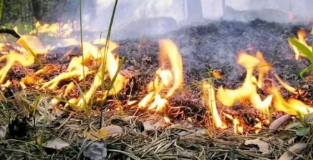 На Київщині 23 липня оголосили надзвичайний рівень пожежної небезпеки