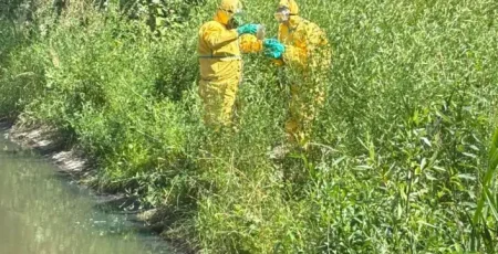 Унаслідок ворожої атаки стався витік нафтопродуктів в каскад озер на Оболоні